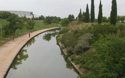Se reanuda la actividad náutico deportiva en la lámina de agua del Juan Carlos I