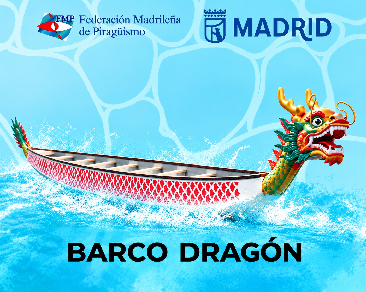 BARCO DRAGON CURSO